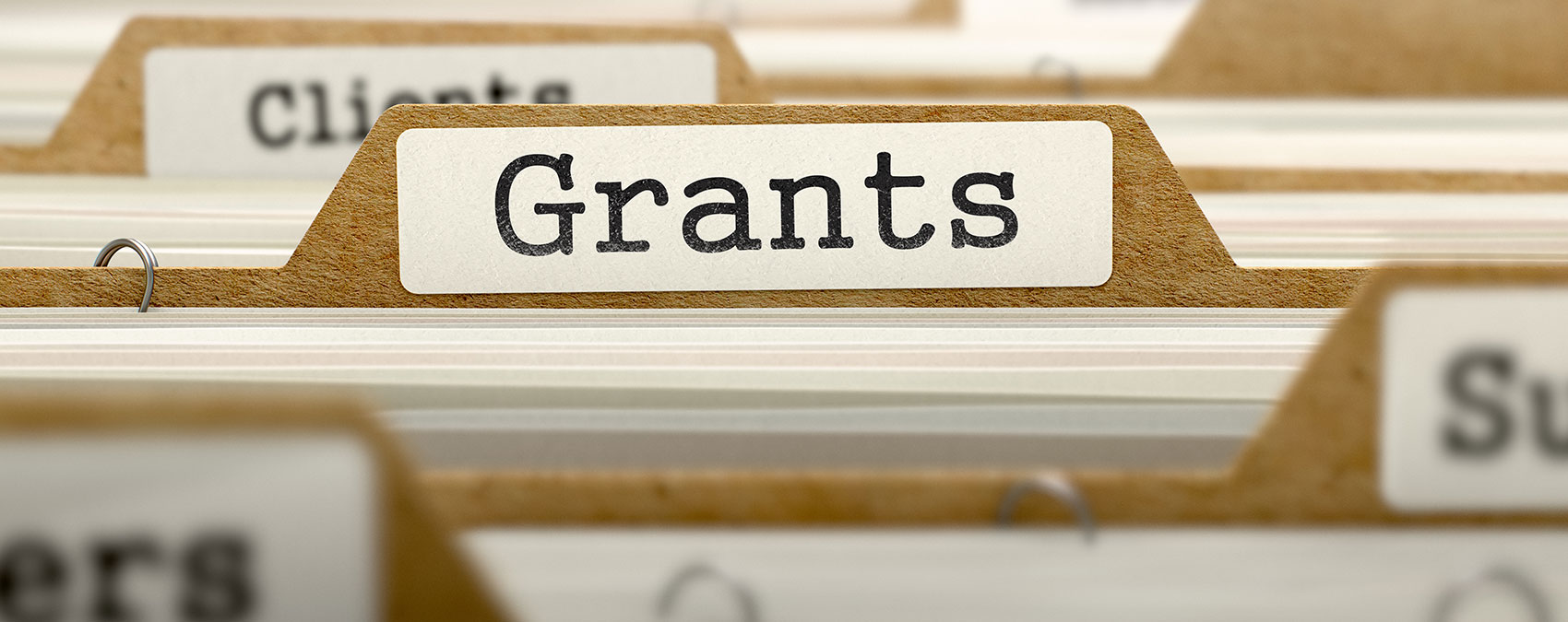 Government Grants and Rebates Are you taking advantage of them?