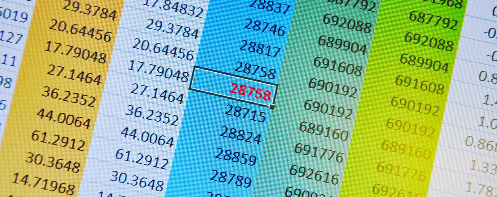 Microsoft Excel vs Accounting Software